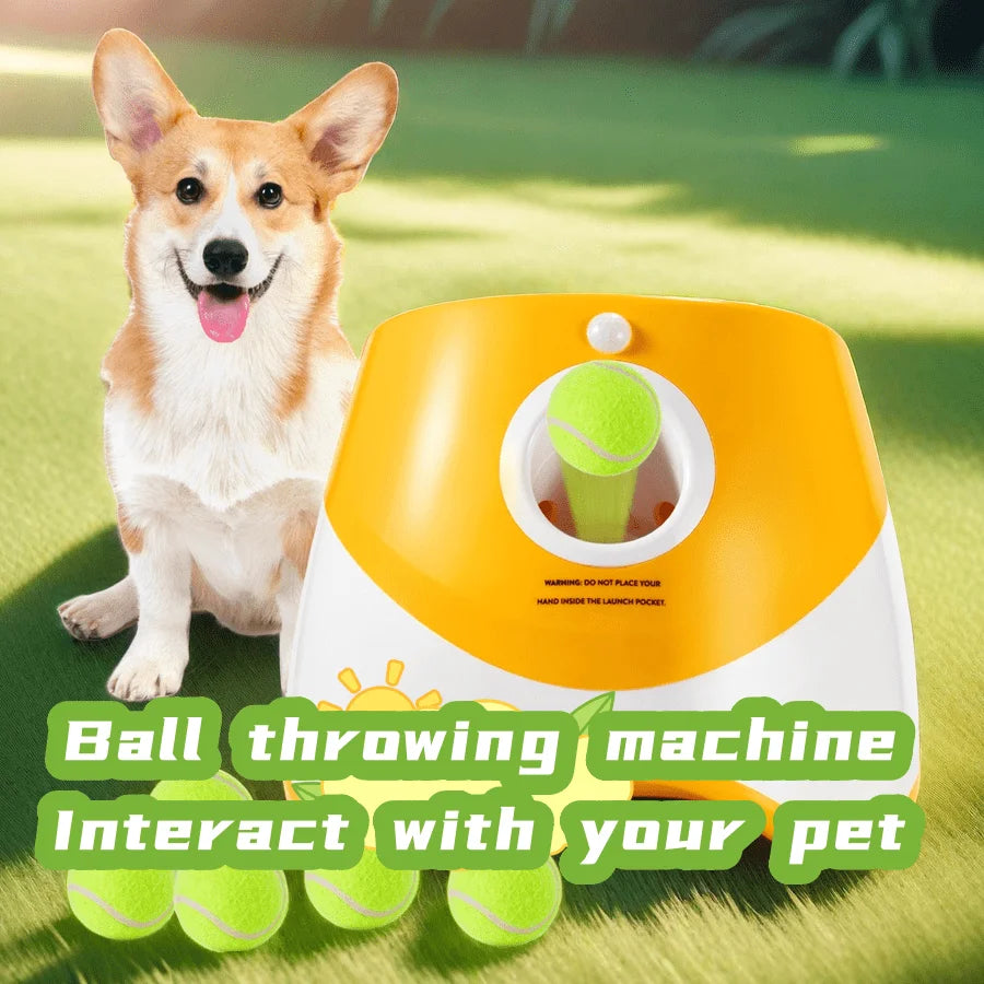 Hundbollskanon – Automatisk lek och motion