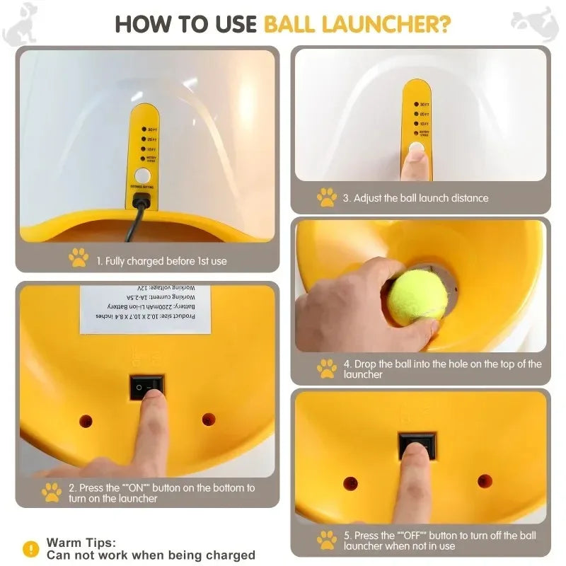Hundbollskanon – Automatisk lek och motion