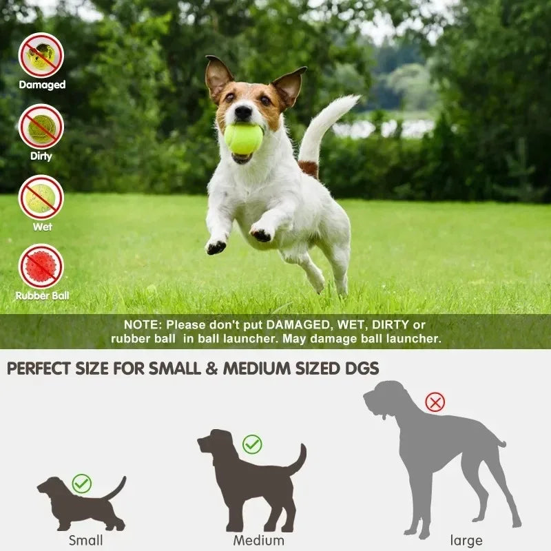 Hundbollskanon – Automatisk lek och motion