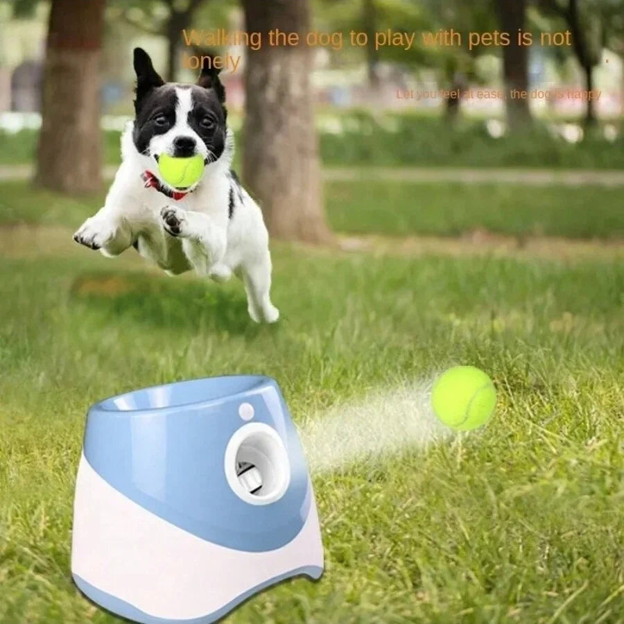 Hundbollskanon – Automatisk lek och motion