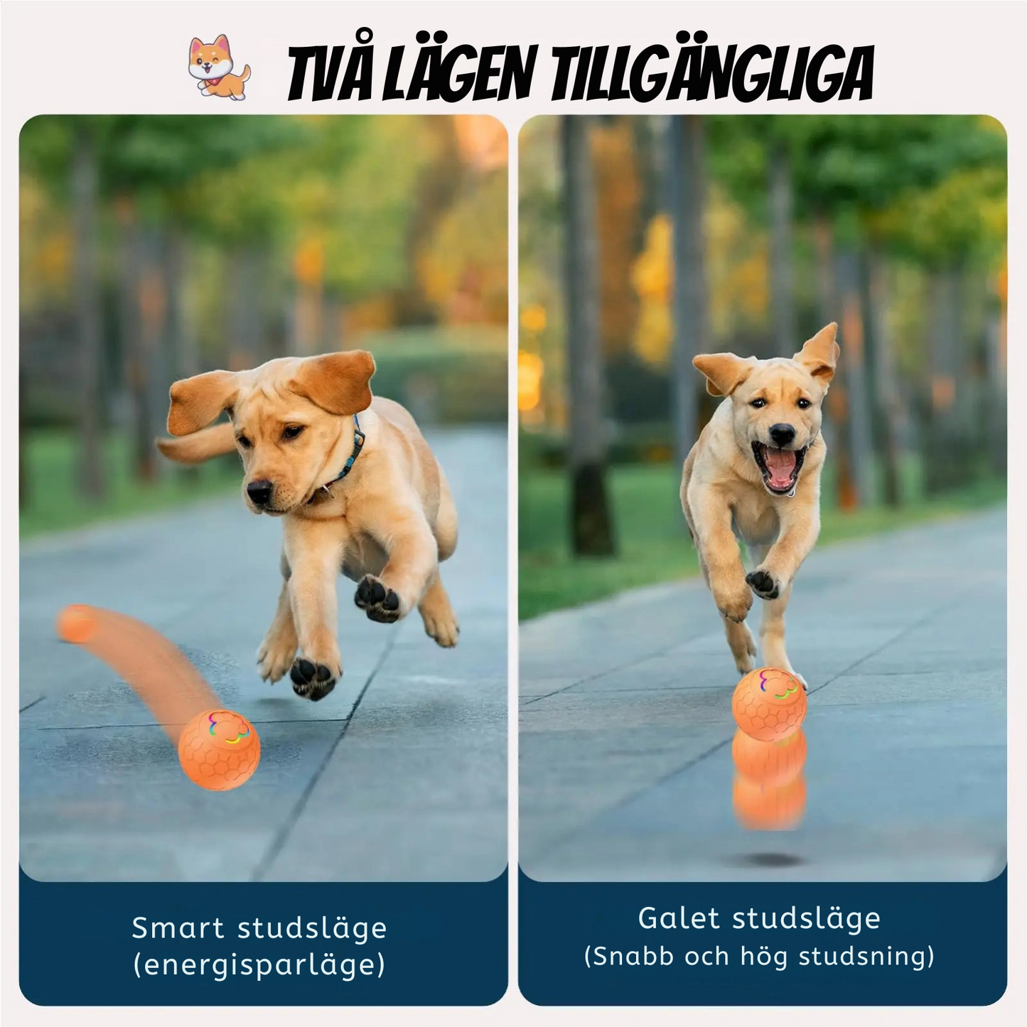 MeowMeows – Interaktiv hundboll