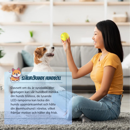MeowMeows – Interaktiv hundboll