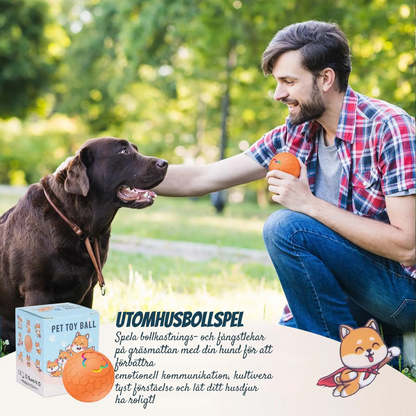 MeowMeows – Interaktiv hundboll