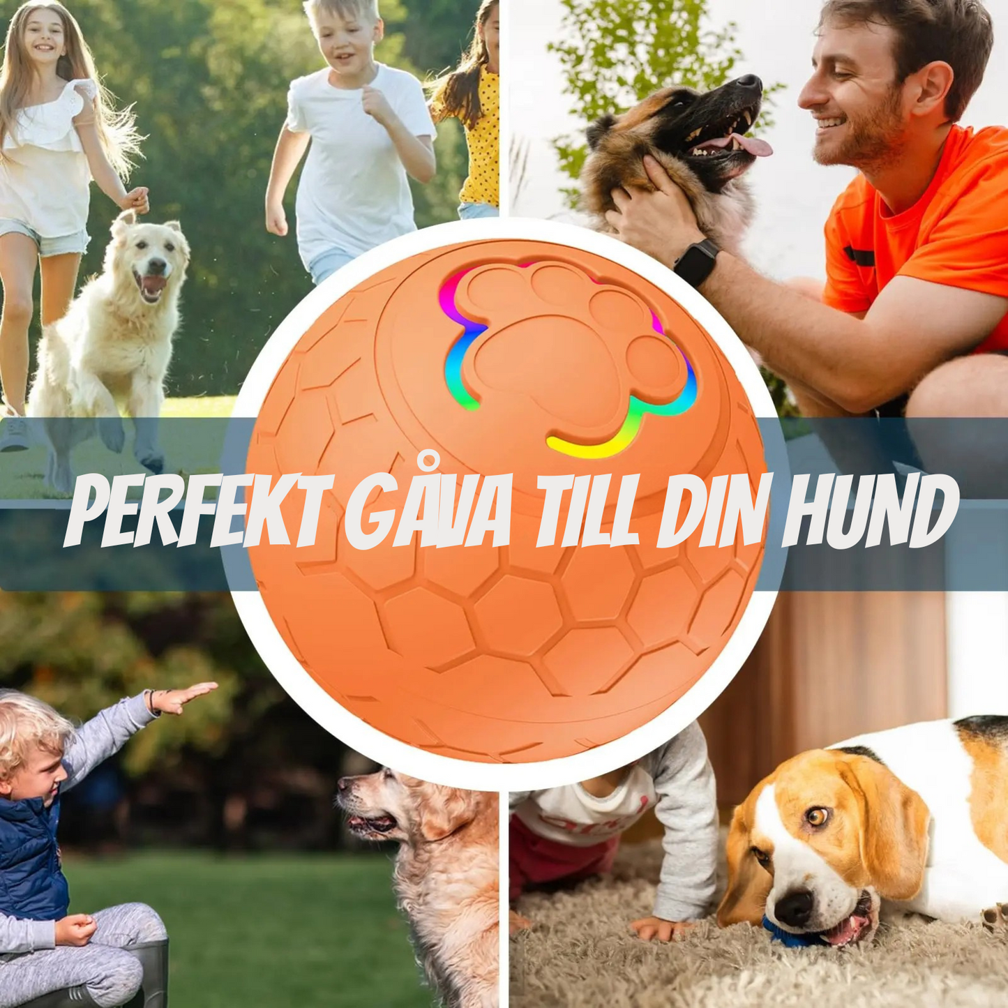 MeowMeows – Interaktiv hundboll